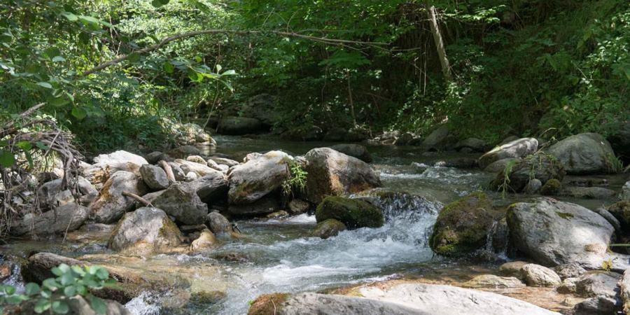 Casa Coix Διαμέρισμα Escas Εξωτερικό φωτογραφία